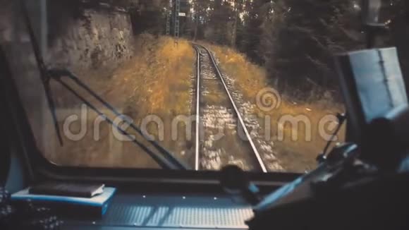火车穿过秋天的森林视频的预览图