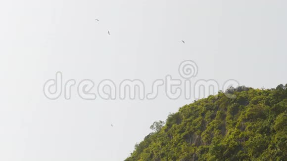 鹰在小山附近的天空中飞翔视频的预览图