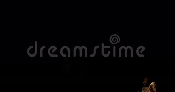 欧亚陶尼猫头鹰阿卢科成人飞行诺曼底视频的预览图