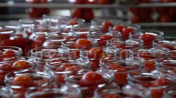 加工和罐头蔬菜自动生产线保护番茄4视频的预览图