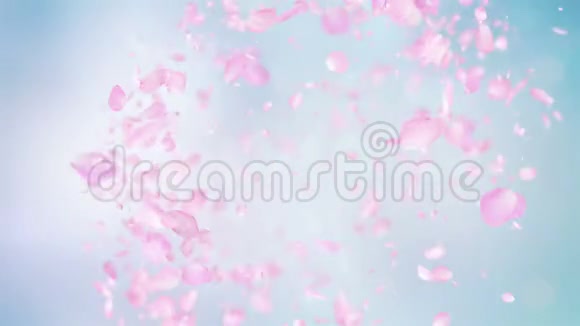 粉色玫瑰花瓣四千里爆视频的预览图