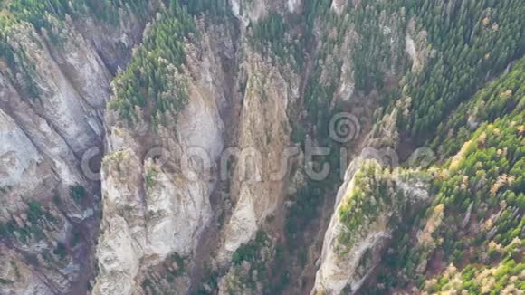 夏日森林中的高山峡谷上面巨大的岩石视频的预览图