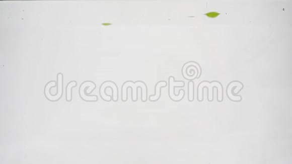 一串绿色的葡萄慢慢地落入水中有气泡白色背景的浆果视频的预览图