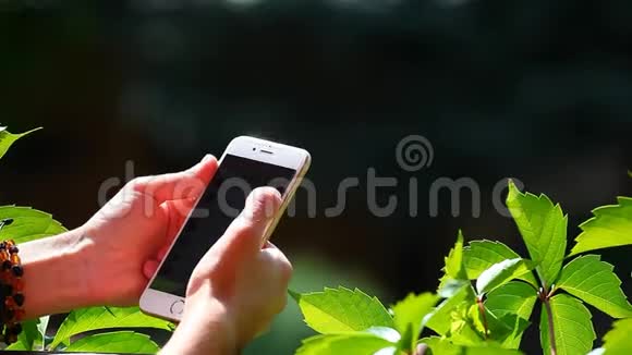 女孩夏季季节花园智能手机视频的预览图