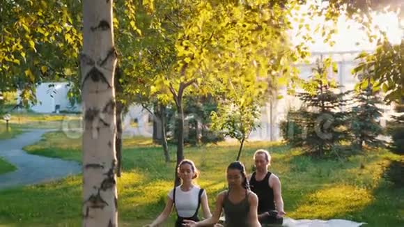 两个年轻的女人在阳光下和教练一起在公园里做瑜伽练习一个女人有长长的蓝色恐惧症视频的预览图