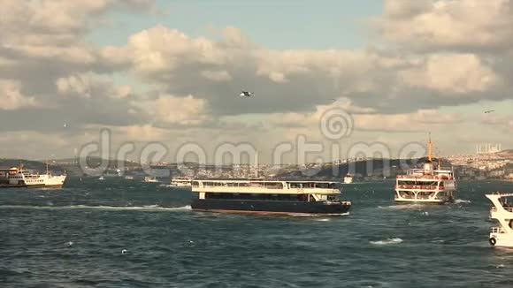 博斯普鲁斯的观光船旅游船海鸥在船附近飞行许多观光船视频的预览图