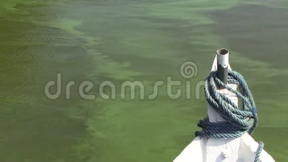 水中绿藻亚马逊船之旅视频的预览图