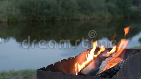 野营火上的棉花糖视频的预览图