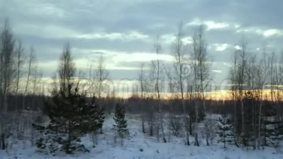 从一辆移动的汽车或火车的窗户拍摄冬季傍晚的景观镜头掠过树木灌木丛花园视频的预览图