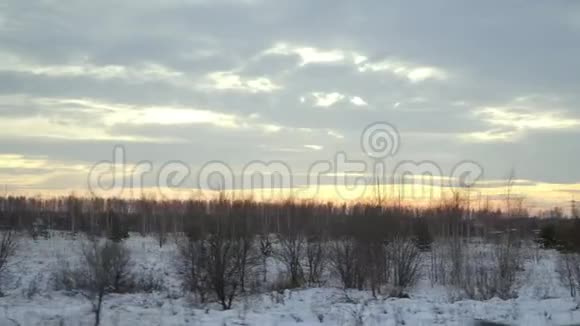 从一辆移动的汽车或火车的窗户拍摄冬季傍晚的景观镜头掠过树木灌木丛花园视频的预览图