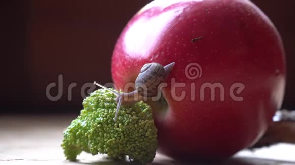蜗牛爬过红苹果和绿色西兰花可爱的动物电影背景视频的预览图