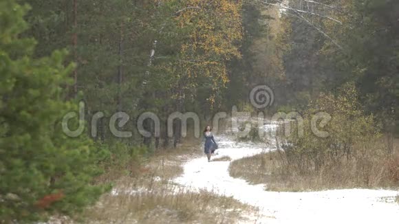 森林里的女孩和第一场雪视频的预览图