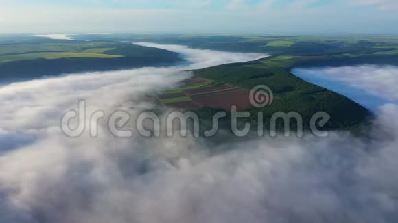 在云层上方的山上鸟瞰田野日出时鸟瞰河流上空的雾浓雾笼罩河流视频的预览图