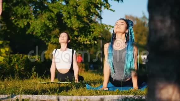 两位年轻女性在公园里和教练一起做瑜伽练习一位女性长着蓝色的恐惧症视频的预览图