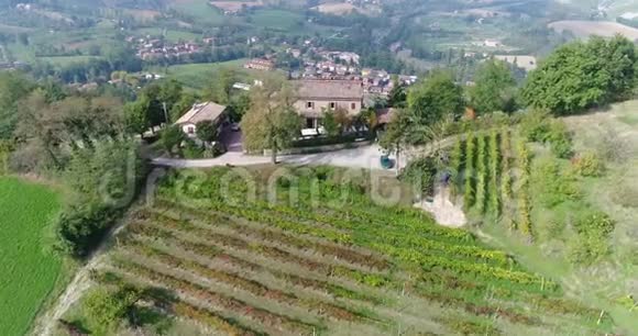 在一座古老的意大利城市的背景下一座山顶上美丽的葡萄园视频的预览图
