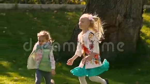 小女孩在绿色公园里奔跑享受她们的嬉戏视频的预览图