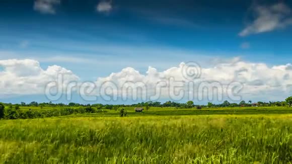 云层中的绿色稻田视频的预览图