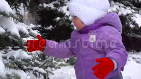 可爱的小女孩摇着树上的雪在户外对着镜头微笑视频的预览图