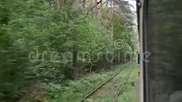 有轨电车在绿色森林中行驶视频的预览图