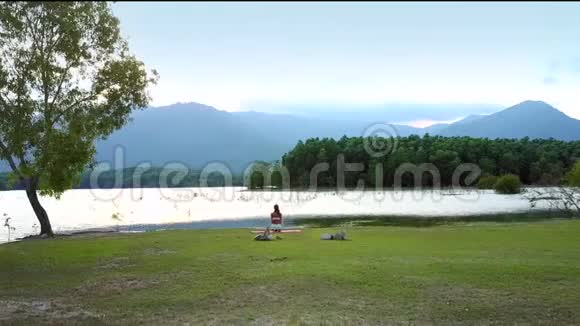 空中观景湖高地河岸上有一棵树视频的预览图