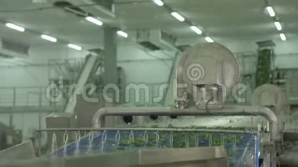 现代机器清洗生菜沙拉线上视频的预览图