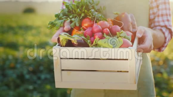 农夫正拿着一个装有新鲜蔬菜的木箱有机农业概念视频的预览图