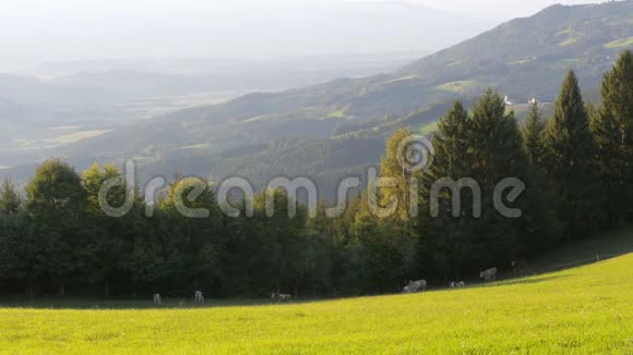 奥地利阿尔卑斯山脉的全景和绿色草地视频的预览图