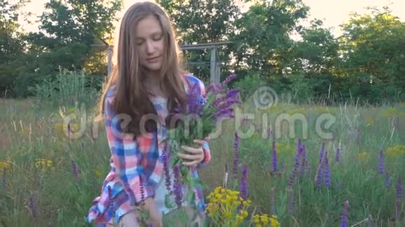 女孩收集花的萨尔维亚视频的预览图