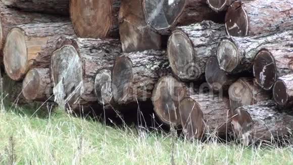 木材堆在草地上视频的预览图