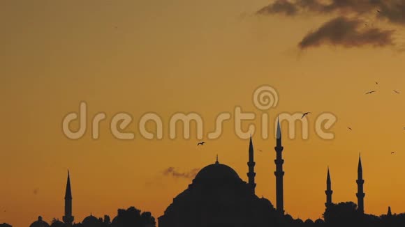 从土耳其伊斯坦布尔的Bosphorus日落时可以看到Suleymaniye清真寺的慢镜头海鸥在那里飞来飞去视频的预览图