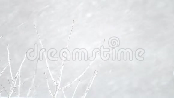 雪花在中性光背景下向不同方向飞行视频的预览图