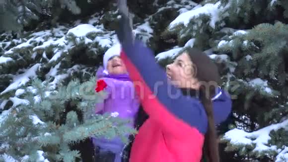 女孩抱着一个孩子用树枝摇落雪视频的预览图