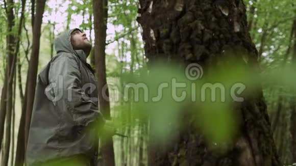 野生落叶林中随轴作业的临时伐木工人视频的预览图