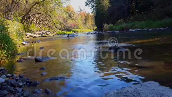 美丽的流水河水与河滨森林阳光明媚的河岸树木沿着温柔的河流视频的预览图