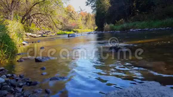 美丽的流水河水与河滨森林阳光明媚的河岸树木沿着温柔的河流视频的预览图