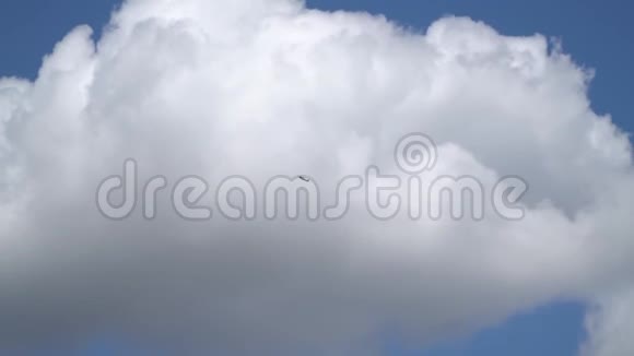 黄色牦牛52飞机飞向云层视频的预览图