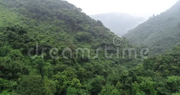 茂密的热带山区绿树成荫的丛林视频的预览图
