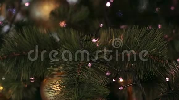 用五颜六色的灯光特写圣诞树视频的预览图