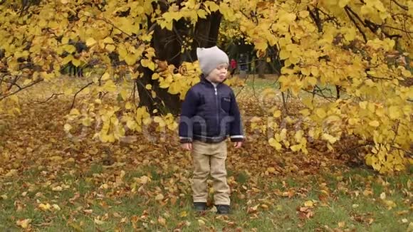 秋天小男孩在公园里跳视频的预览图