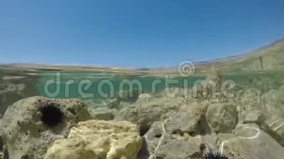 半个水下景观从岩石海滩视频的预览图