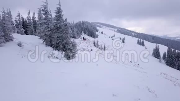 在冬天的山上飞过一群游客视频的预览图