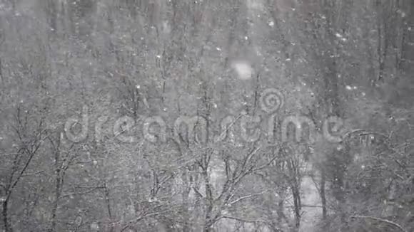 冬季降雪慢动作视频视频的预览图