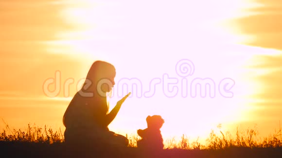 日落时分带着泰迪熊的小女孩抱着熊娃娃熊看日落的女孩剪影概念大梦想视频的预览图