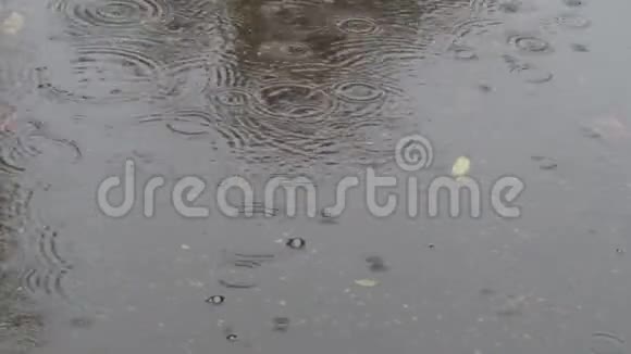 雨水落在泥坑里路上有树叶视频的预览图