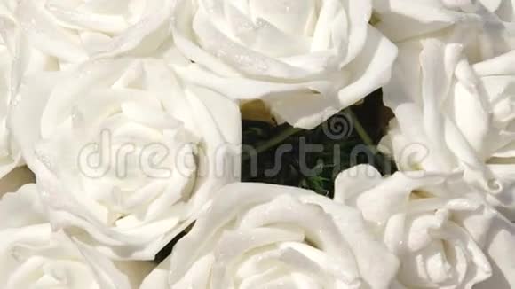 结婚的玫瑰花束视频的预览图