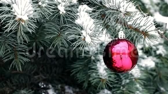 雪天户外蓝云杉树枝上挂着红色圣诞球视频的预览图