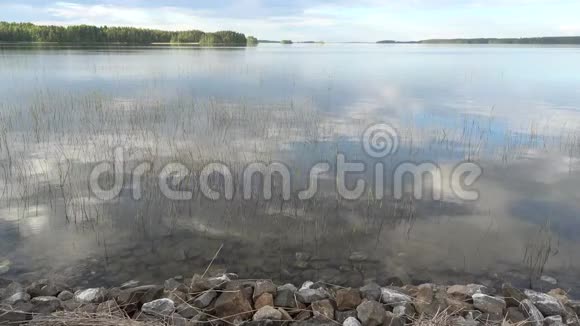 图南萨梅湖六月傍晚芬兰视频的预览图