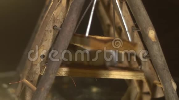 毛茸茸的仓鼠躲在木制操场上站在镜子展示台上动作缓慢视频的预览图