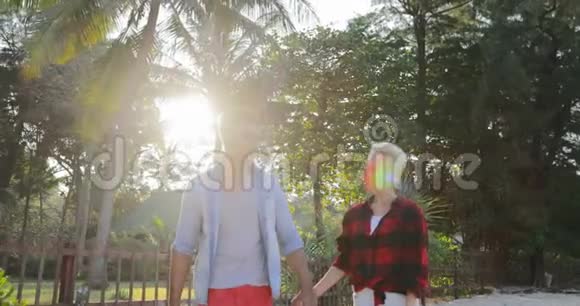 热带棕榈树公园交流中的情侣牵手谈幸福的男人和女人视频的预览图
