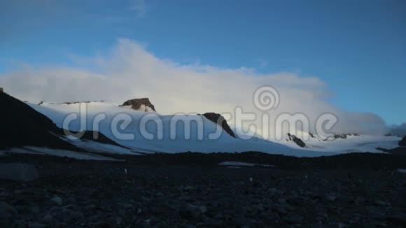 企鹅在树荫下的石头上行走安德列夫视频的预览图